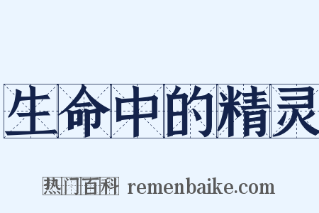 生命中的精灵是什么意思的图片